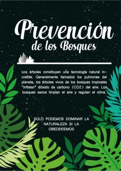 Afiche Favorito Sobre La Conservacion De Los Bosques Votacion